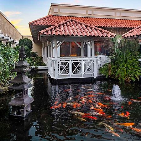 Hyatt Regency Grand Reserve Pr Rio Grande Εξωτερικό φωτογραφία