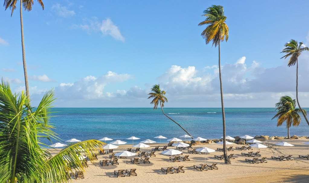 Hyatt Regency Grand Reserve Pr Rio Grande Φύση φωτογραφία
