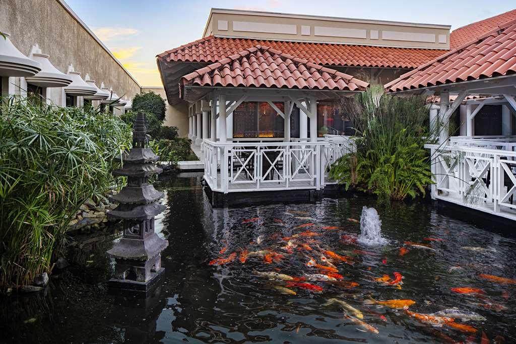 Hyatt Regency Grand Reserve Pr Rio Grande Εξωτερικό φωτογραφία